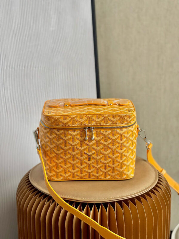 GOYARD Bag