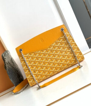 GOYARD Bag