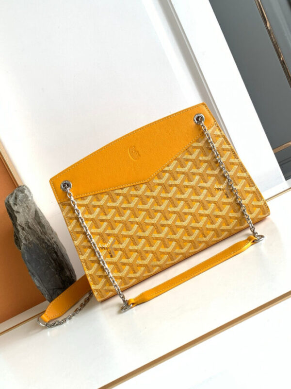 GOYARD Bag
