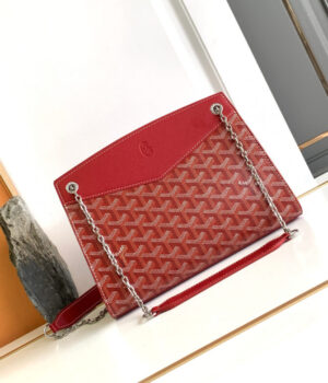 GOYARD Bag