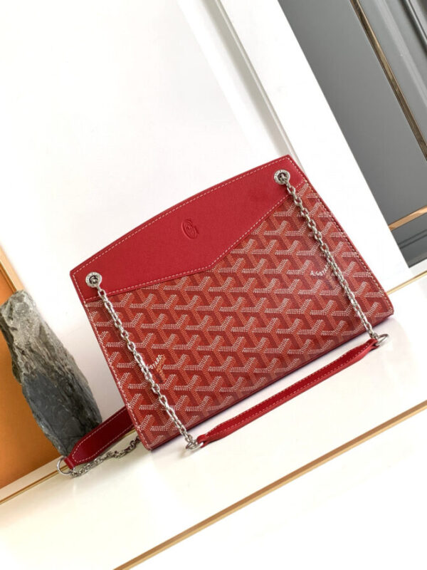 GOYARD Bag