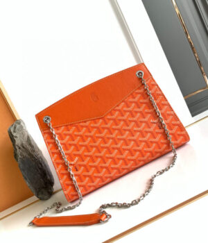 GOYARD Bag