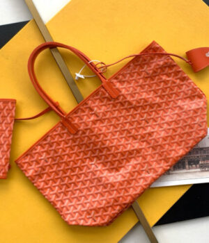 GOYARD Bag