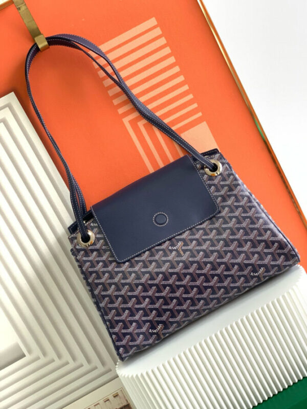 GOYARD Bag