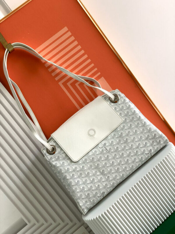 GOYARD Bag