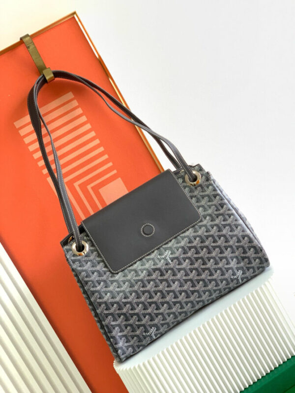 GOYARD Bag