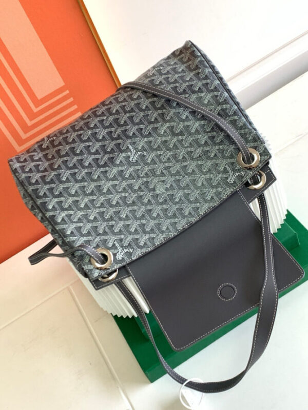 GOYARD Bag - Image 5