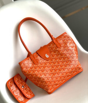 GOYARD Bag