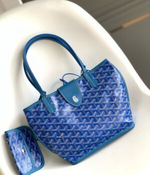 GOYARD Bag