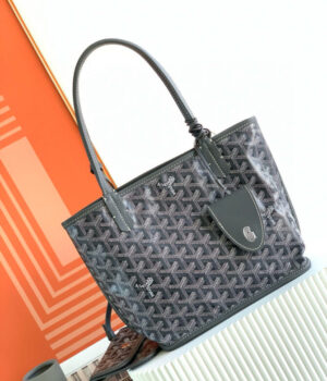 GOYARD Bag