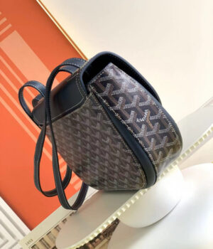 GOYARD Bag