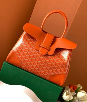 GOYARD Bag