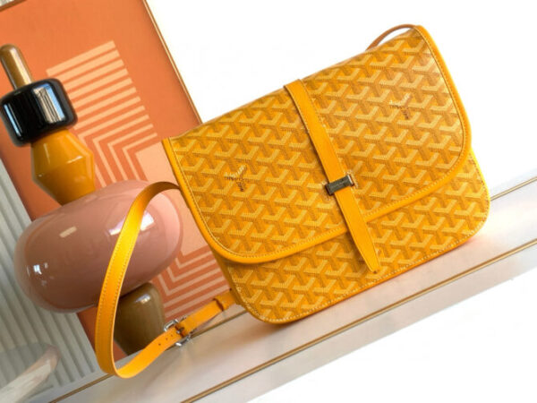 GOYARD Bag