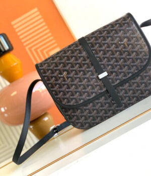 GOYARD Bag