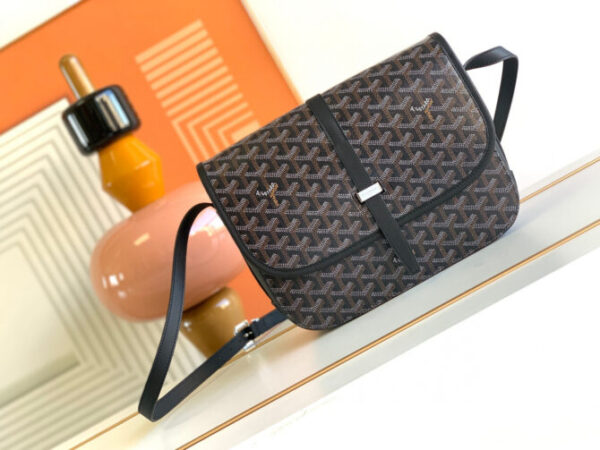 GOYARD Bag
