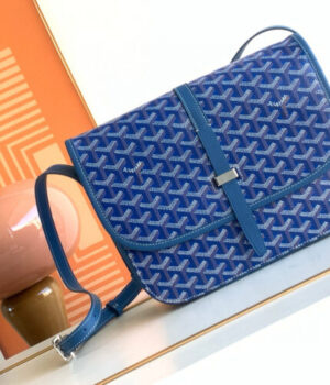 GOYARD Bag