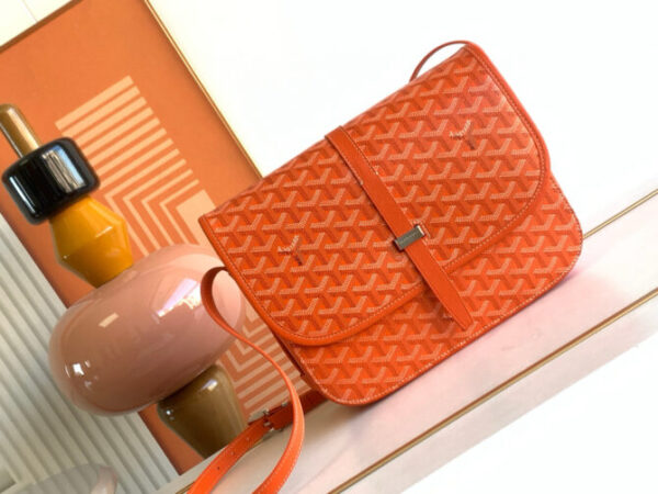 GOYARD Bag