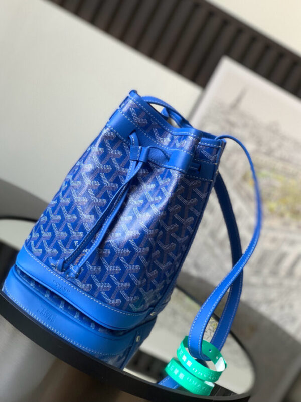 GOYARD Bag