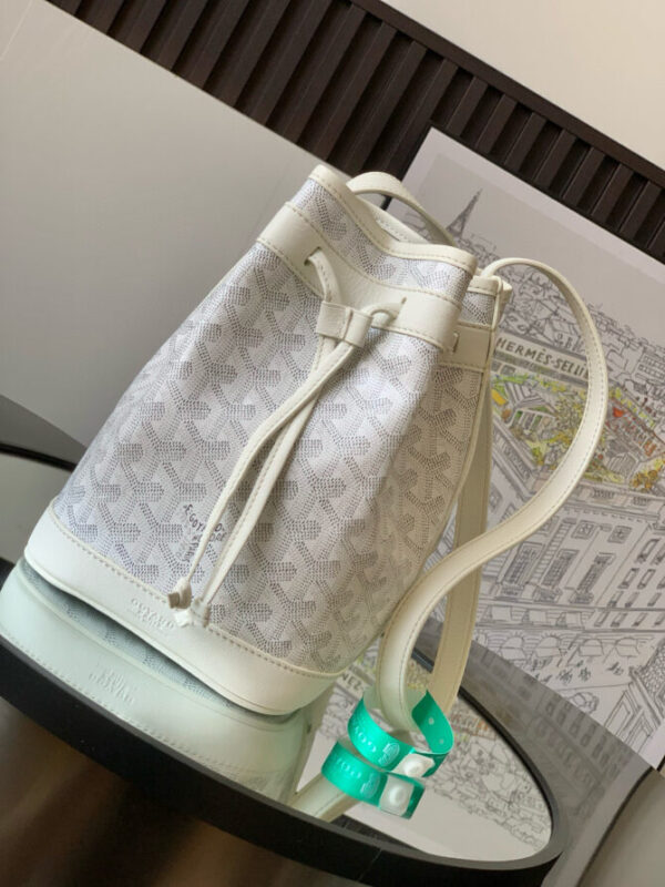 GOYARD Bag