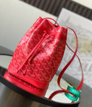 GOYARD Bag