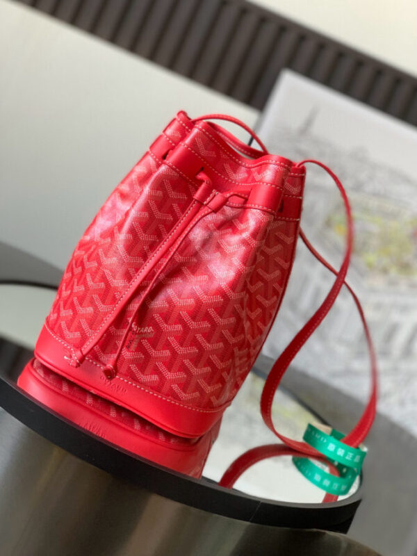 GOYARD Bag