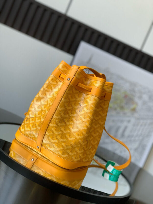 GOYARD Bag