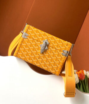 GOYARD Bag