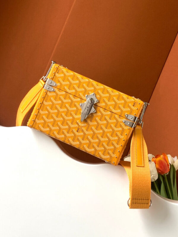 GOYARD Bag