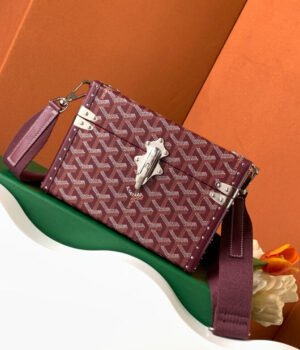 GOYARD Bag
