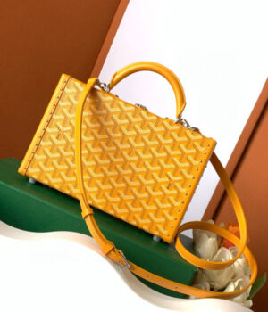 GOYARD Bag
