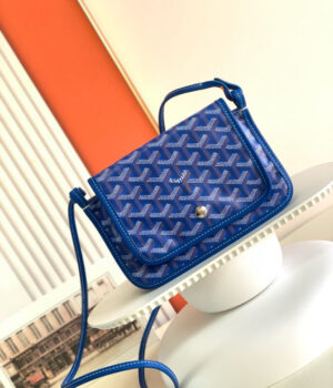 GOYARD Bag