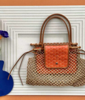 GOYARD Bag