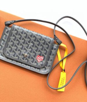 GOYARD Bag