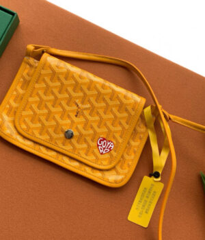 GOYARD Bag