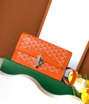 GOYARD Bag