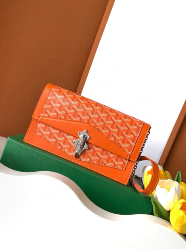GOYARD Bag