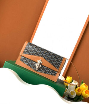 GOYARD Bag