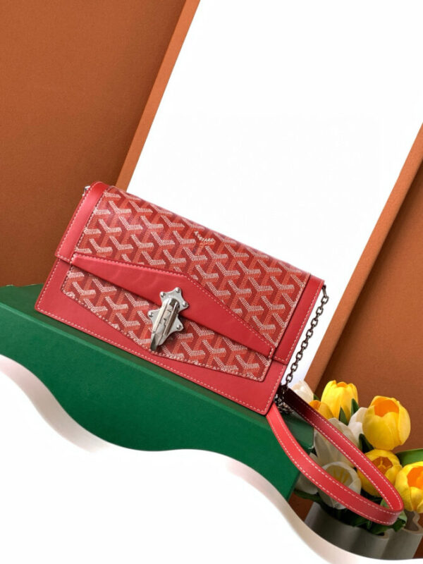 GOYARD Bag