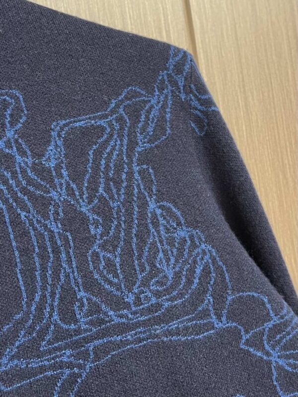 LV Sweater - Image 5