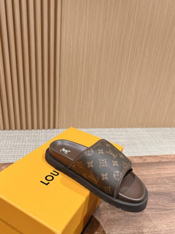 LV Slides - Image 9