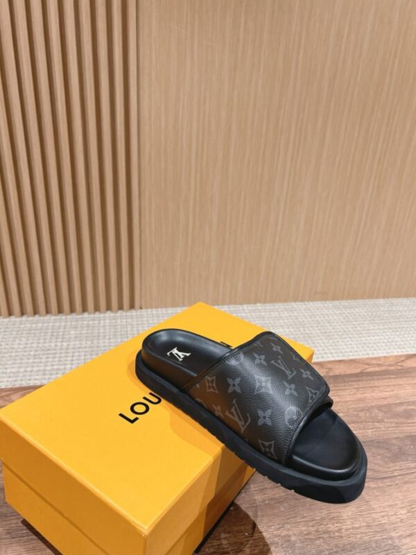 LV Slides - Image 8