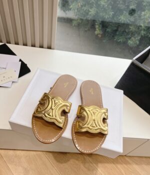 CELINE Slides