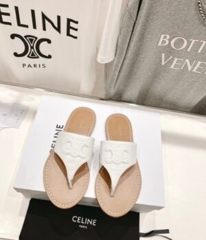 CELINE Slides