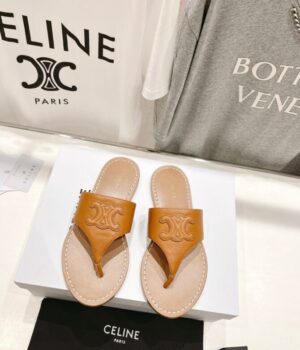 CELINE Slides