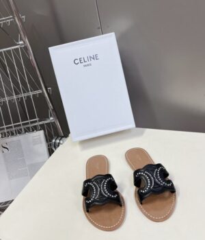 CELINE Slides