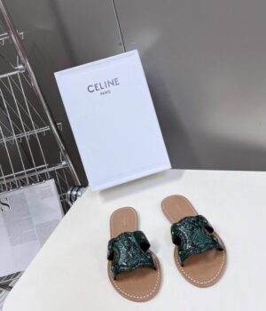 CELINE Slides