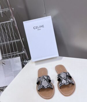 CELINE Slides