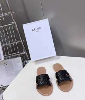 CELINE Slides