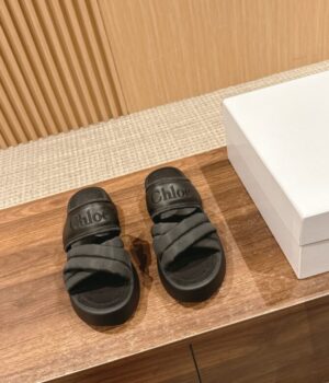 CHLOE Slides