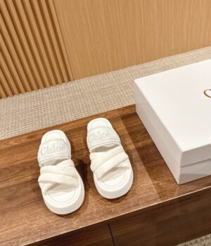 CHLOE Slides